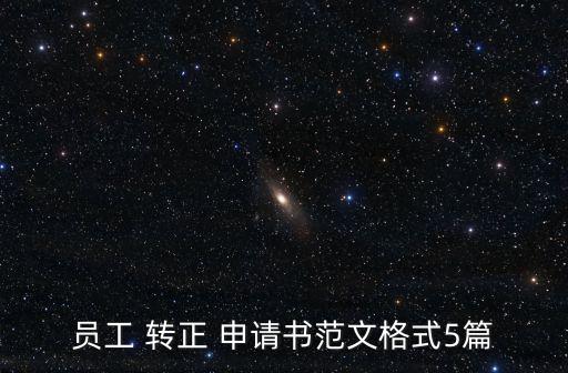 工作轉正申請,首次投票選舉結果出爐我國選民投票反應兩極化