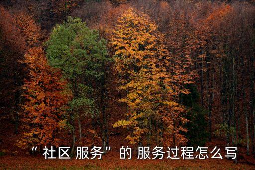 “ 社區(qū) 服務”的 服務過程怎么寫