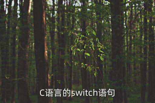 c語(yǔ)言switch，請(qǐng)問(wèn)c語(yǔ)言的switch語(yǔ)句到底是什么
