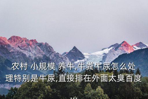 小規模養牛,牛糞尿怎么處理?怎么養牛?科學養牛!