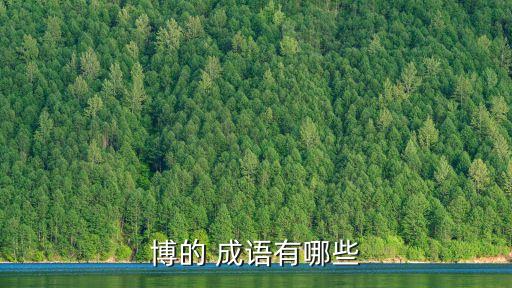 博的 成語(yǔ)有哪些