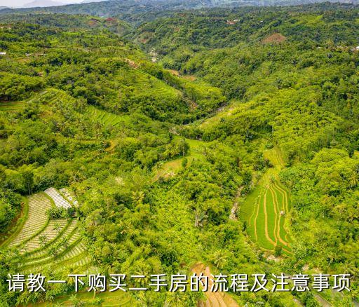 請(qǐng)教一下購(gòu)買(mǎi)二手房的流程及注意事項(xiàng)