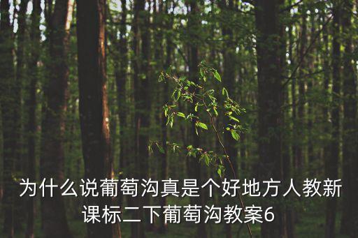 葡萄溝教案，二年級下冊第10課葡萄溝中葡萄溝的葡萄有什么特點