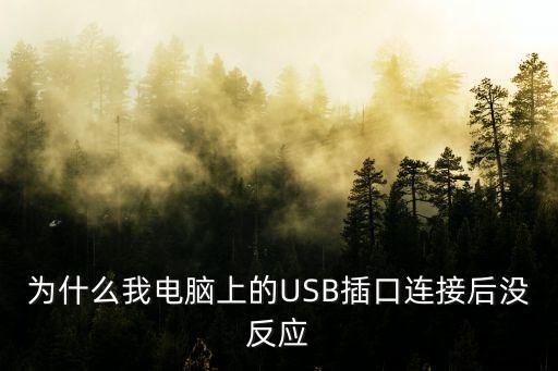 電腦usb接口沒反應，為什么我電腦上的USB插口連接后沒反應