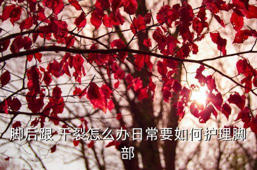 腳干裂怎么辦,腳干腳裂怎么辦?