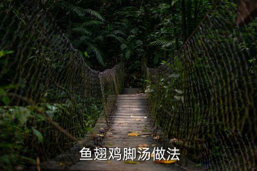 魚翅湯的做法,武漢火鍋雞翅魚湯怎么做?