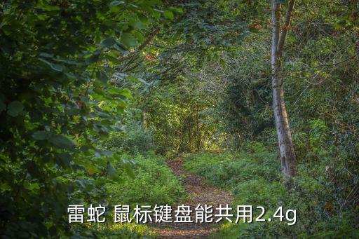 雷蛇無線鼠標,雷蛇蛇終極版無線經過優化可連續工作70小時