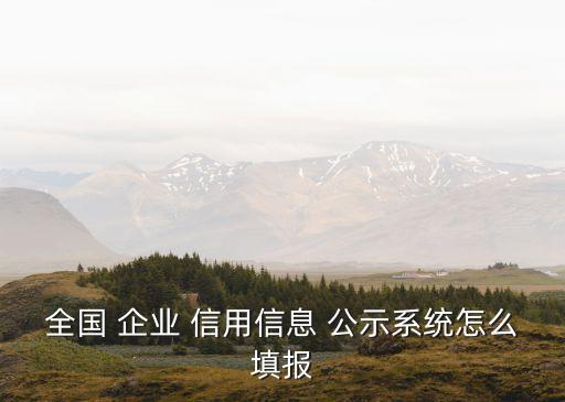 全國 企業 信用信息 公示系統怎么填報