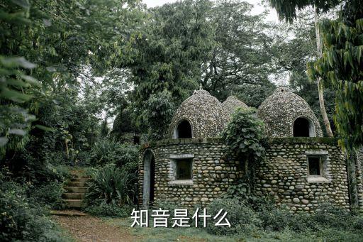 知音是什么