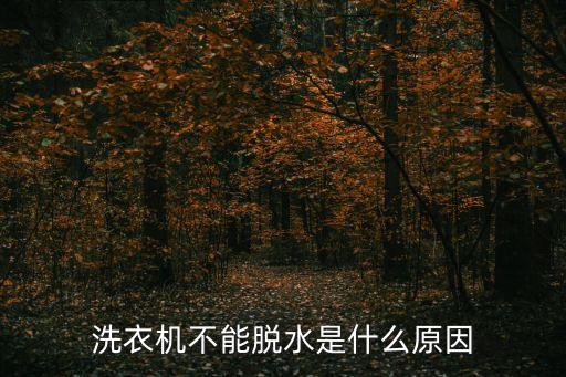 洗衣機不脫水是什么原因，洗衣機不能脫水是什么原因