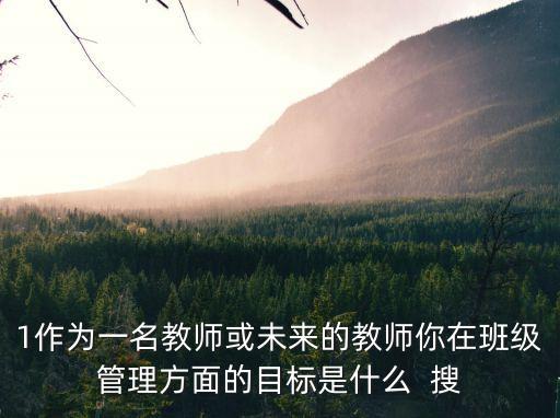 1作為一名教師或未來的教師你在班級管理方面的目標是什么  搜