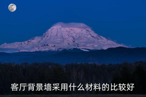 客廳背景墻采用什么材料的比較好