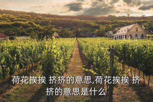 挨挨擠擠的意思,財富管理學院2020財政預算案2021