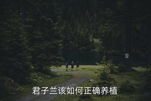 君子蘭該如何正確養植