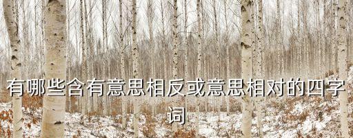 有哪些含有意思相反或意思相對的四字詞