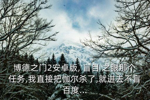博德之門2安卓版, 盲目 之眼那個(gè)任務(wù),我直接把伽爾殺了,就進(jìn)去不盲百度...