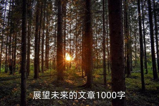 展望未來的文章1000字