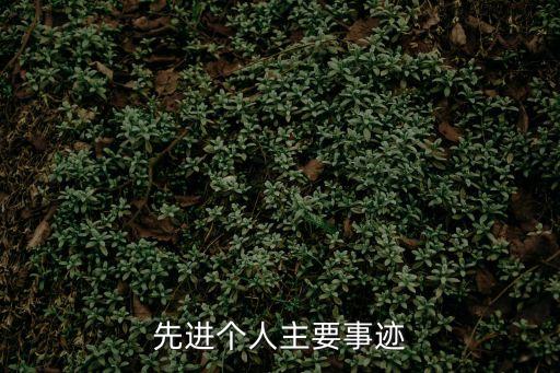 先進(jìn)個(gè)人主要事跡