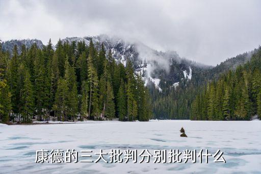 康德的三大批判分別批判什么