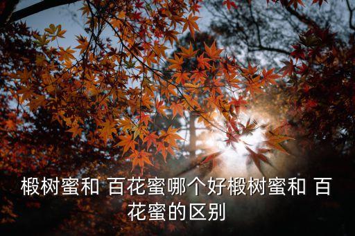 椴樹(shù)蜜和 百花蜜哪個(gè)好椴樹(shù)蜜和 百花蜜的區(qū)別