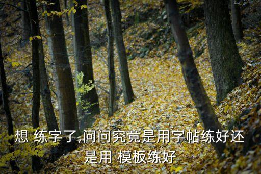 練字模板,特效練字板三分鐘內(nèi)提升書寫水平