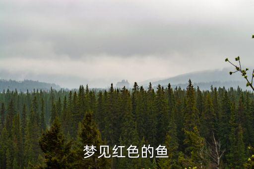 夢(mèng)見(jiàn)紅魚(yú)，做夢(mèng)夢(mèng)見(jiàn)紅魚(yú)什么意思