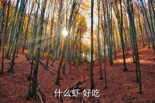 什么蝦最好吃,九節蝦好吃嗎?你好親蝦、刀額新對蝦