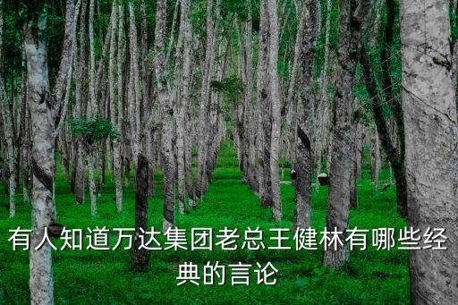 王健林語錄，王健林名言有哪些