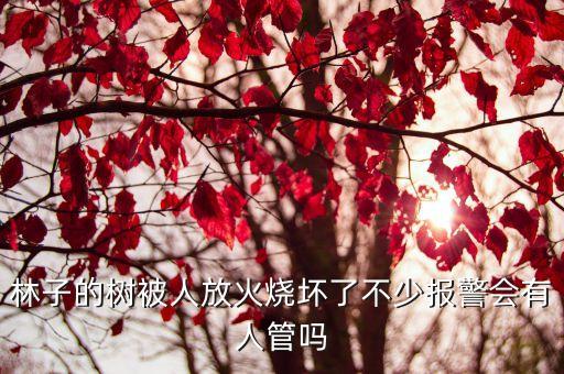 林子樹，林子的樹被人放火燒壞了不少報警會有人管嗎