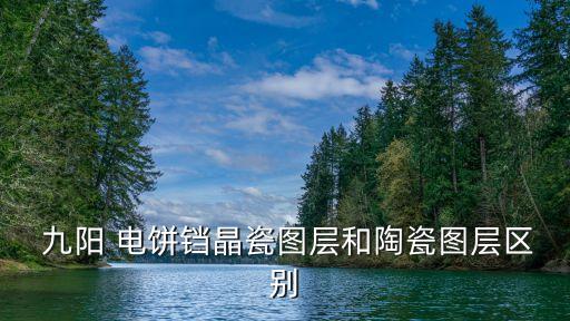 九陽電餅鐺,杭州九陽電器有限公司:專注于豆?jié){機領(lǐng)域