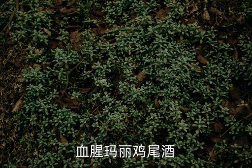 血腥瑪麗雞尾酒