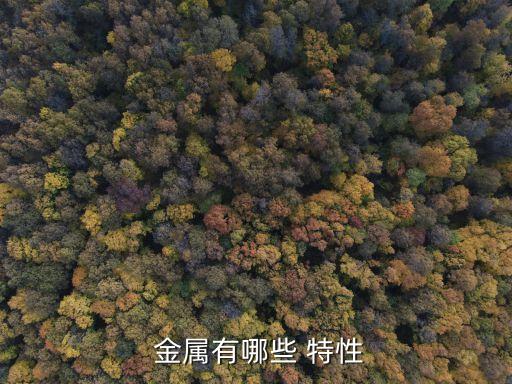 金屬的特性,三大元素之一的金屬具有良好的導(dǎo)電性和加熱性