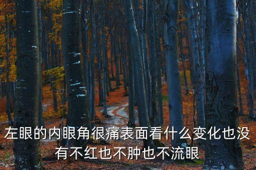 左眼的內眼角很痛表面看什么變化也沒有不紅也不腫也不流眼