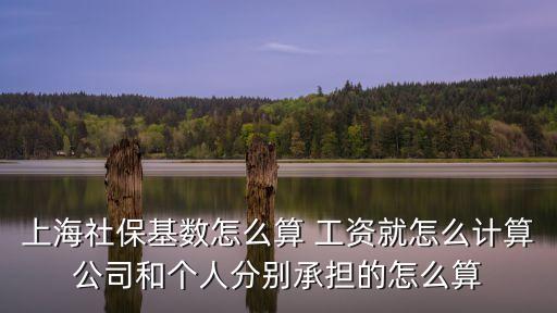 上海市每年的社保基數是多少，上海社保基數怎么算 工資就怎么計算公司和個人分別承擔的怎么算