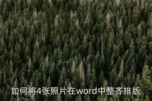 word圖片排版，如何將4張照片在word中整齊排版