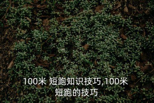 100米 短跑知識(shí)技巧,100米 短跑的技巧
