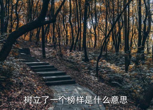 榜樣的意思，樣榜與榜樣有什么區別