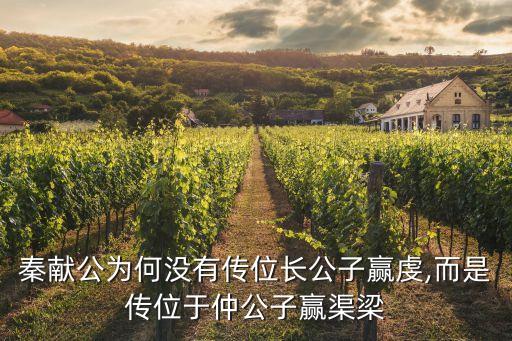 嬴虔,【大秦帝國》第23集錢瑩鼻子被剪掉了