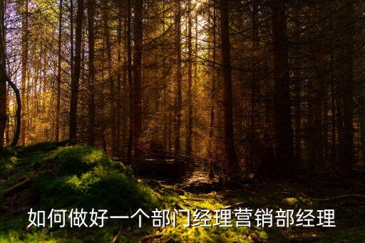 營銷部經(jīng)理，營銷部經(jīng)理崗位職責(zé)