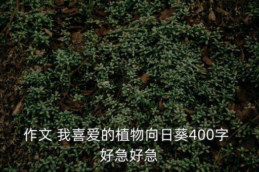作文 我喜愛的植物向日葵400字 好急好急