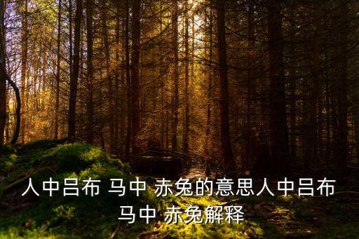 馬中赤兔,赤兔馬為什么叫赤兔?
