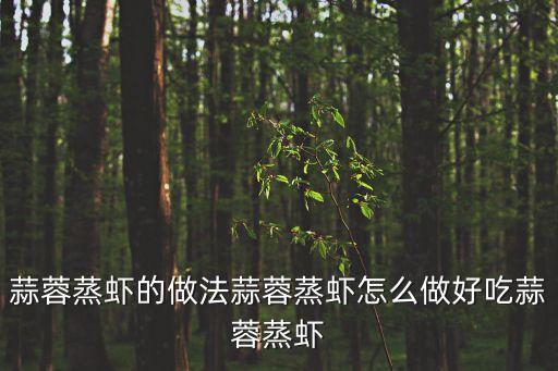 蒜蓉蒸蝦的做法蒜蓉蒸蝦怎么做好吃蒜蓉蒸蝦