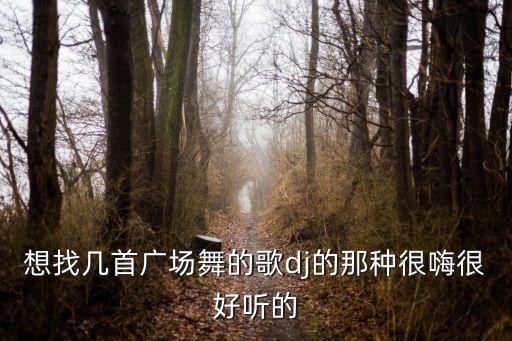 dj廣場舞，快節奏的DJ舞曲適合廣場舞的 有的請打包給我傳過來謝謝