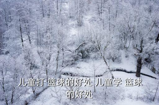 兒童籃球,兒童籃球和成人籃球之別