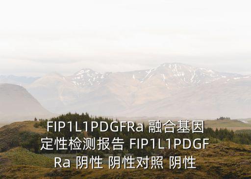 上海市肺科醫(yī)院基因檢測報(bào)告單，麻煩幫我看看DNA檢測的結(jié)果