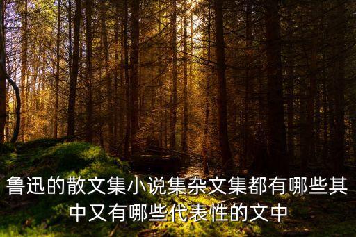 魯迅的散文集小說集雜文集都有哪些其中又有哪些代表性的文中