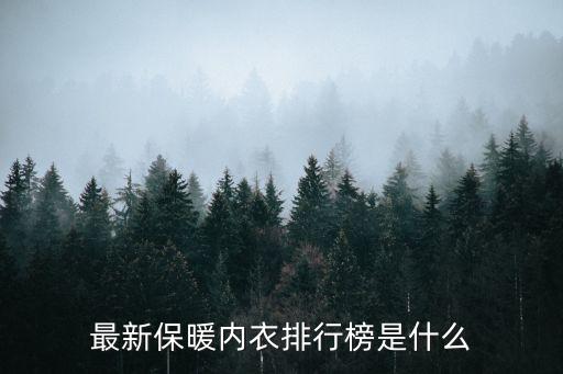 最新保暖內(nèi)衣排行榜是什么