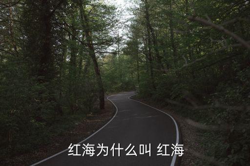 埃及紅海,紅海從埃及蘇伊士向東南延伸至曼德海峽