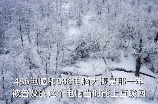 486電腦和586電腦大概是那一年被普及的這個電腦當時能上互聯網
