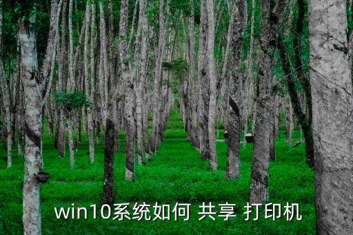 win10共享打印機(jī),新設(shè)置打印機(jī)共享步驟如下
